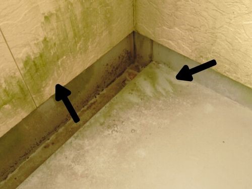 葛飾区でベランダ塗装前の現地調査｜カビ・コケ汚れを確認しました【D様邸】